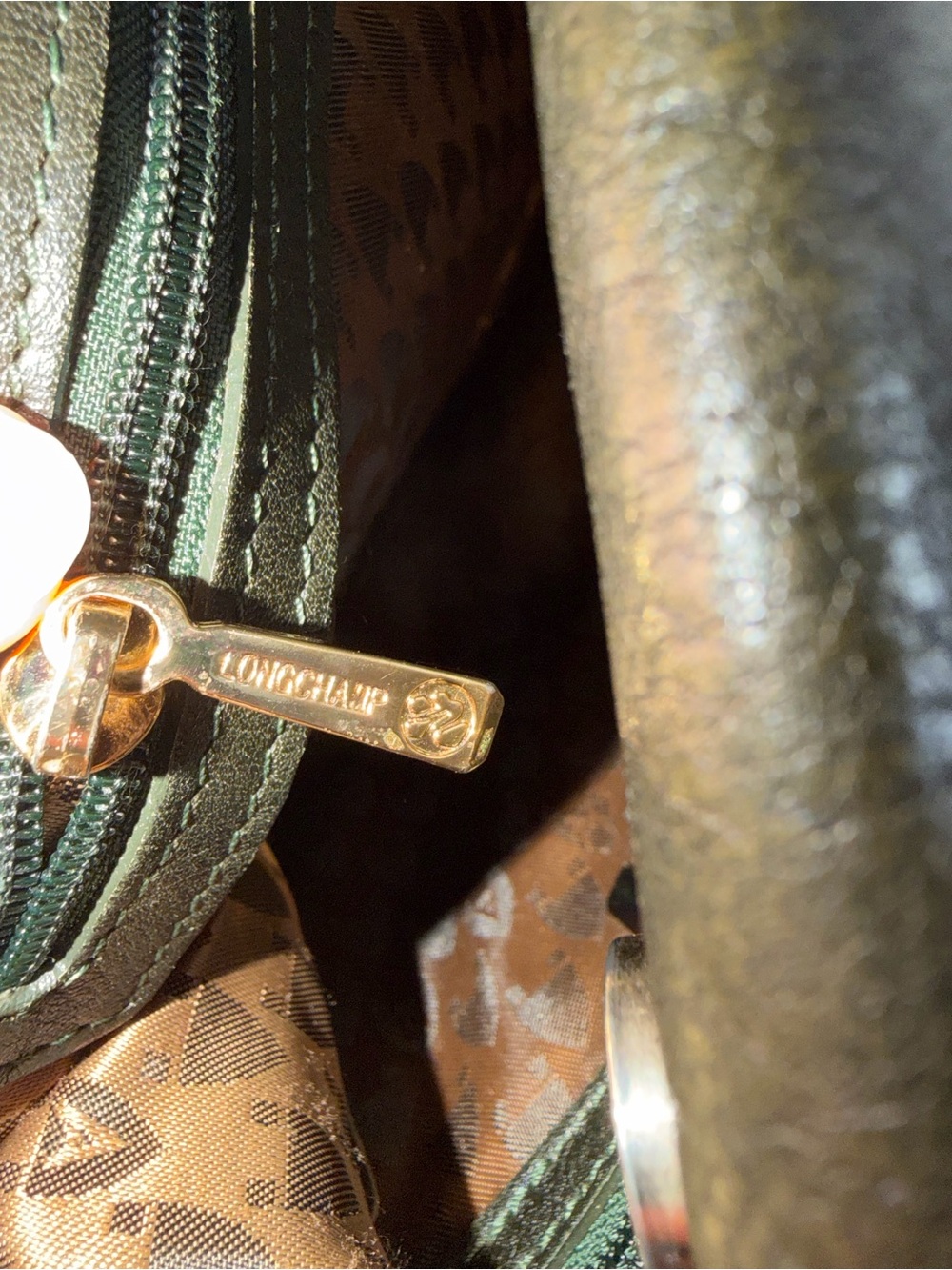 LONGCHAMP DARK GREEN BALZANE LEATHER BAG - Picture 14 of 15